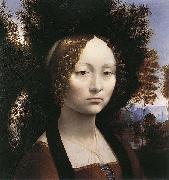 Portrait of Ginevra de Benci LEONARDO da Vinci